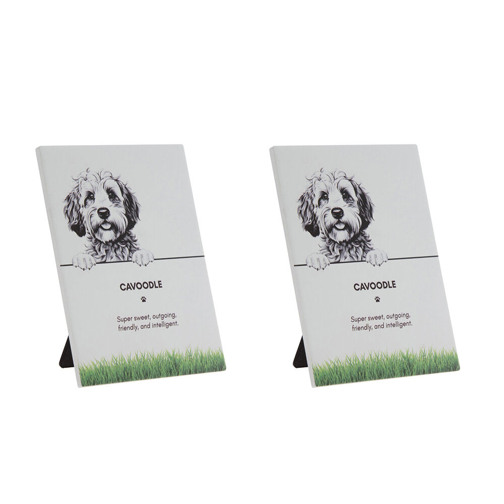 /assets/full/PET-PLAQ03_2PK.jpg?20250922120323