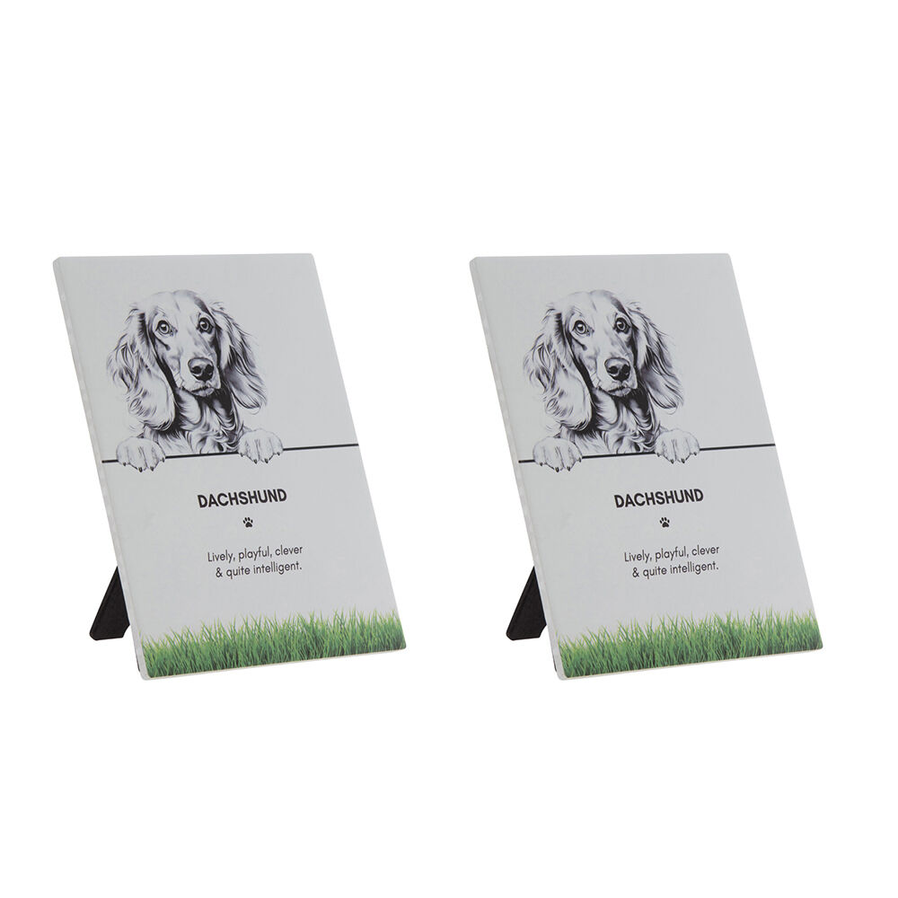 /assets/full/PET-PLAQ04_2PK.jpg?20250922120346