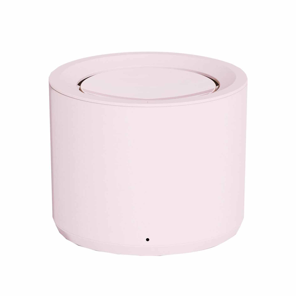 /assets/full/PTRE-PDF-PINK.jpg?20241115163612