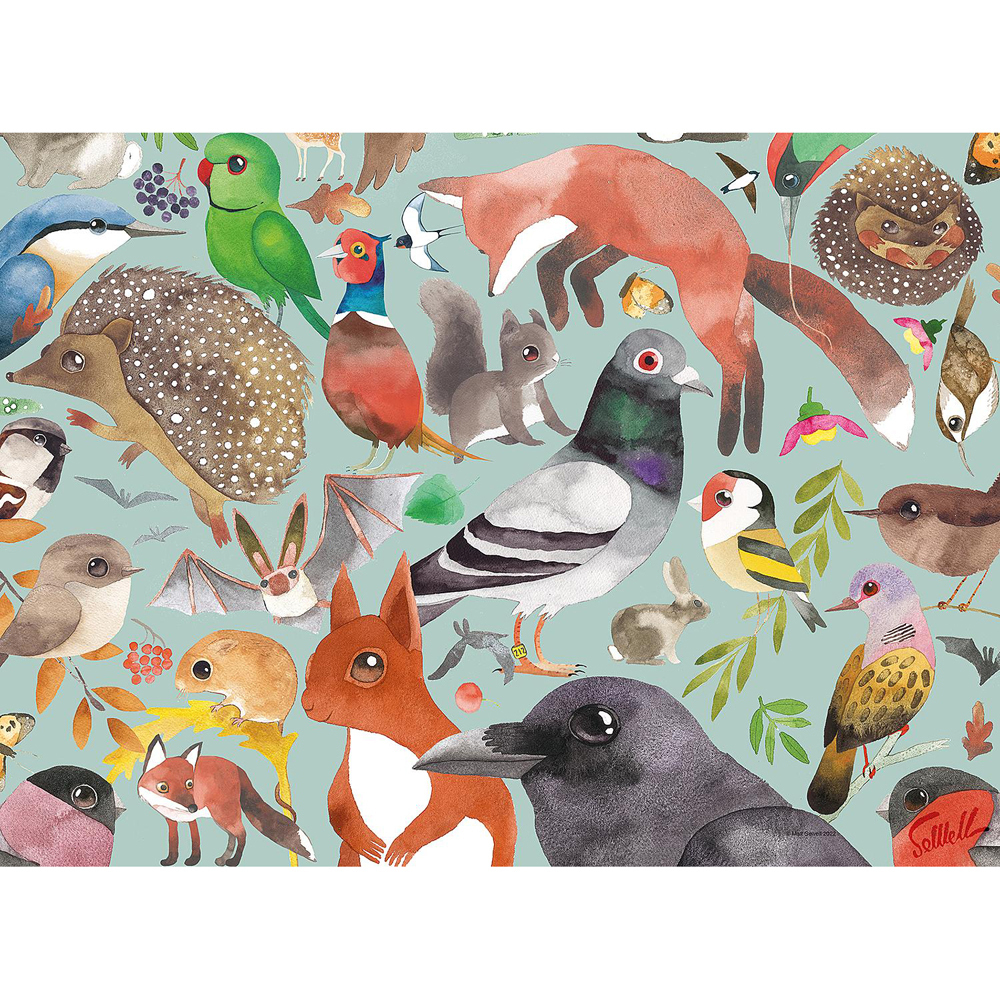 /assets/full/RB00658-9.jpg?20240716094843