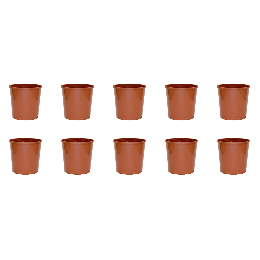 /assets/full/RRSTD175.02_10PK.jpg?20240816165449