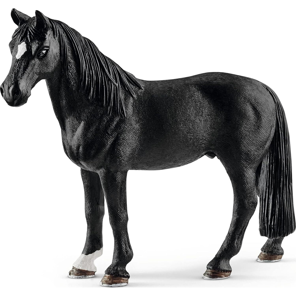 /assets/full/SC13832.jpg?20240722110558