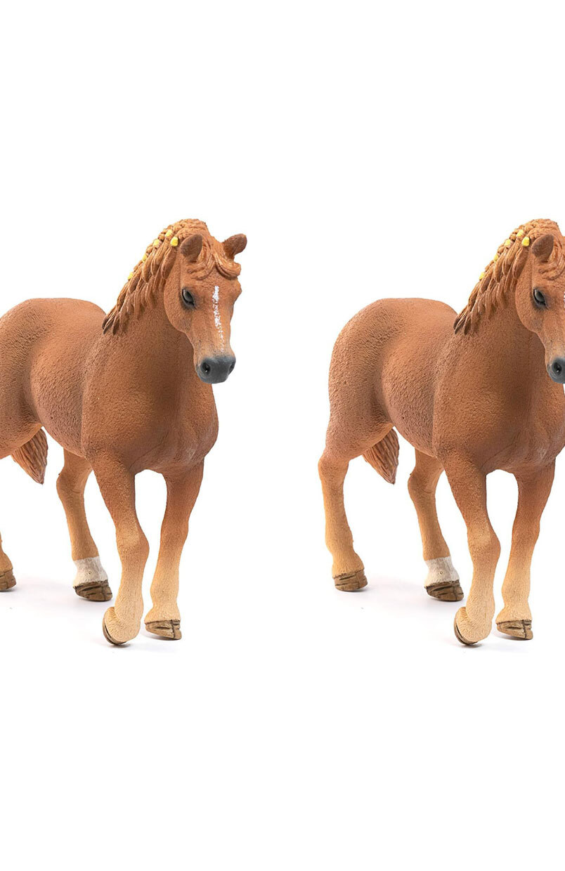 /assets/full/SC13852_2PK.jpg?20240715122554