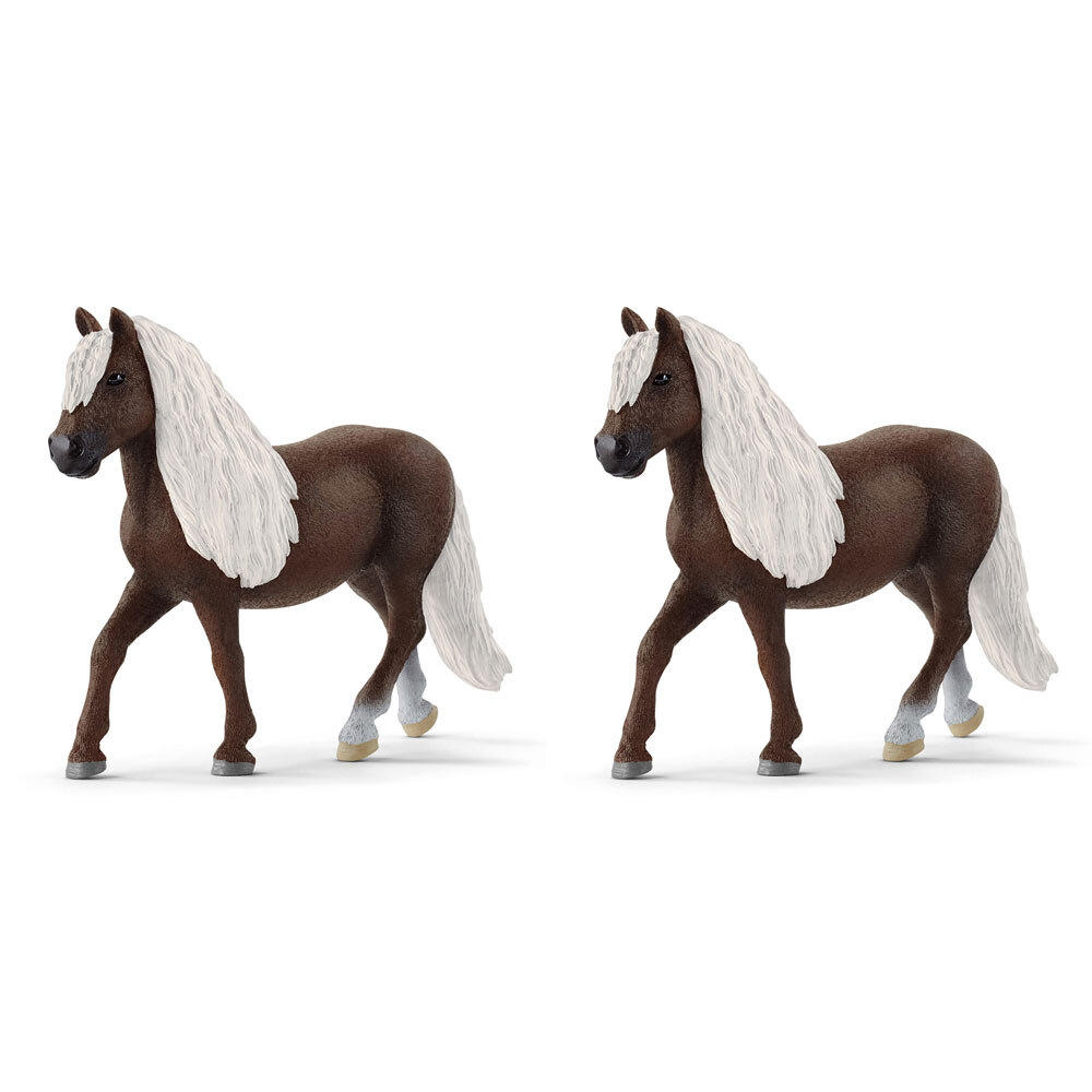 /assets/full/SC13898_2PK.jpg?20240715122217