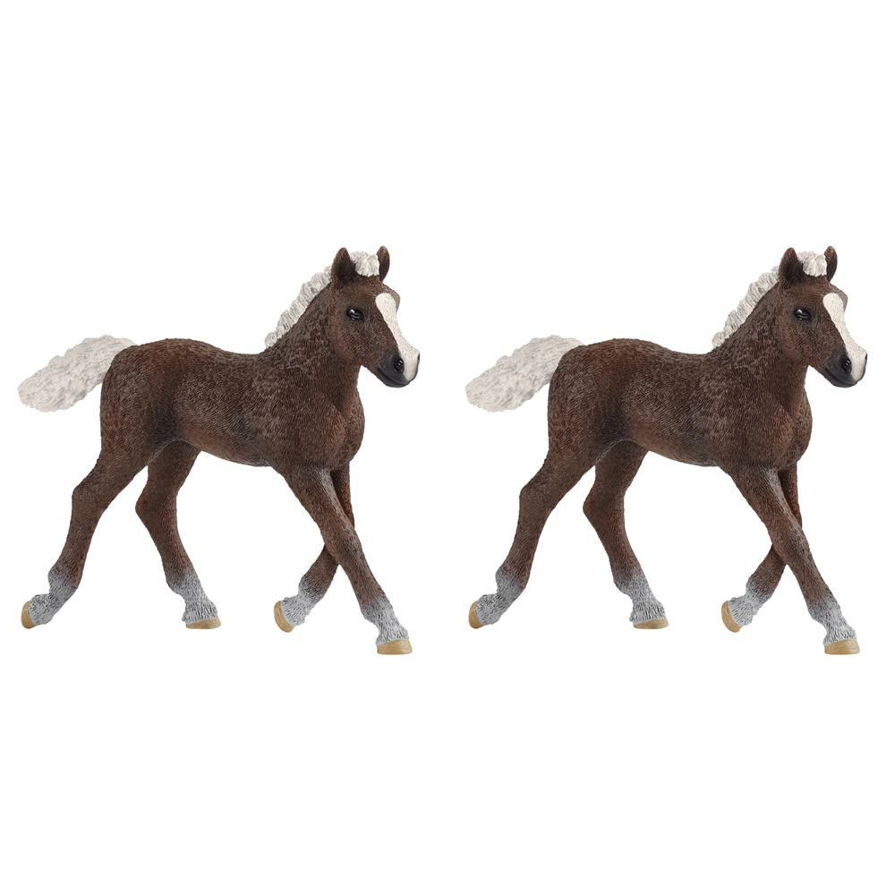 /assets/full/SC13899_2PK.jpg?20240723151950