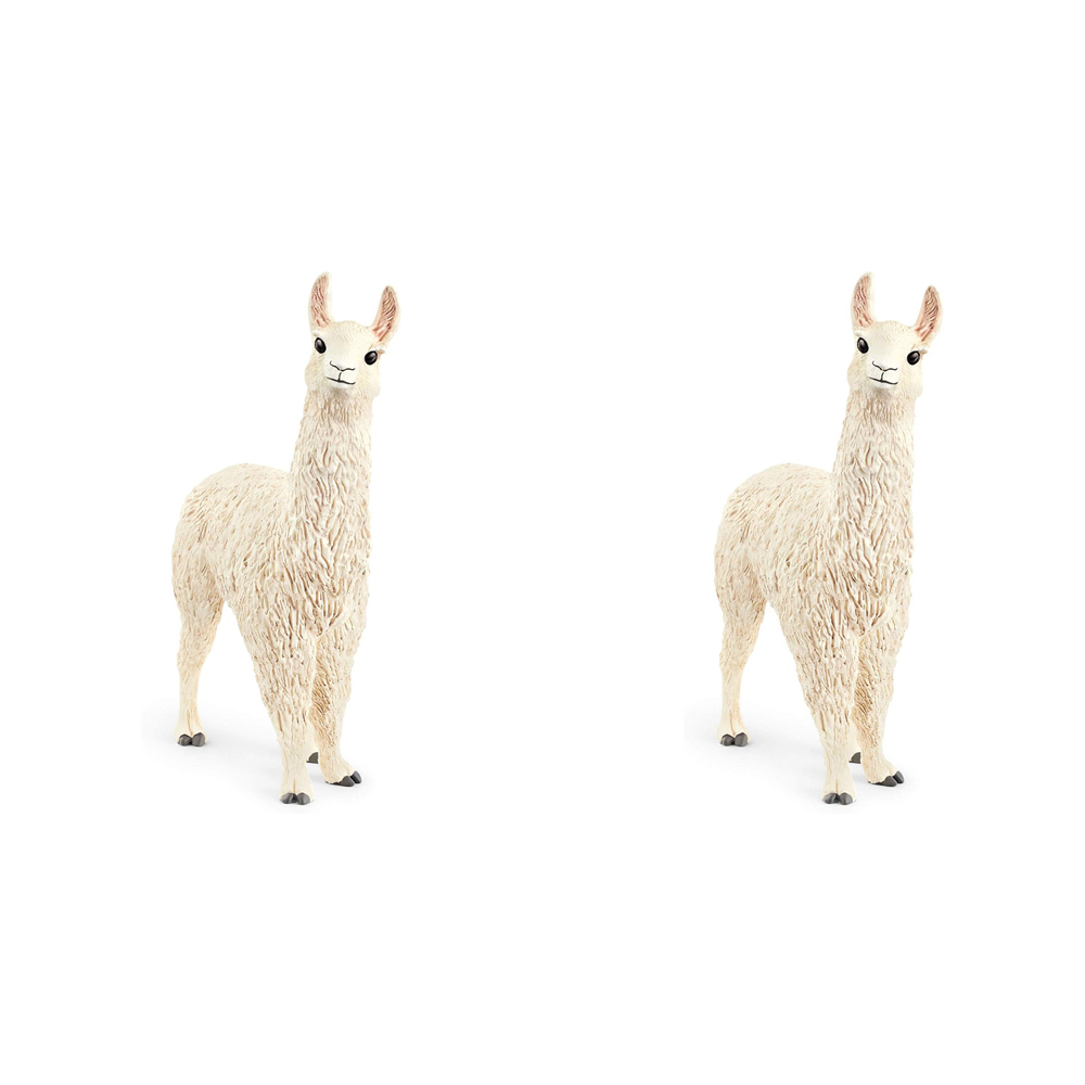 /assets/full/SC13920_2PK.jpg?20240723152114