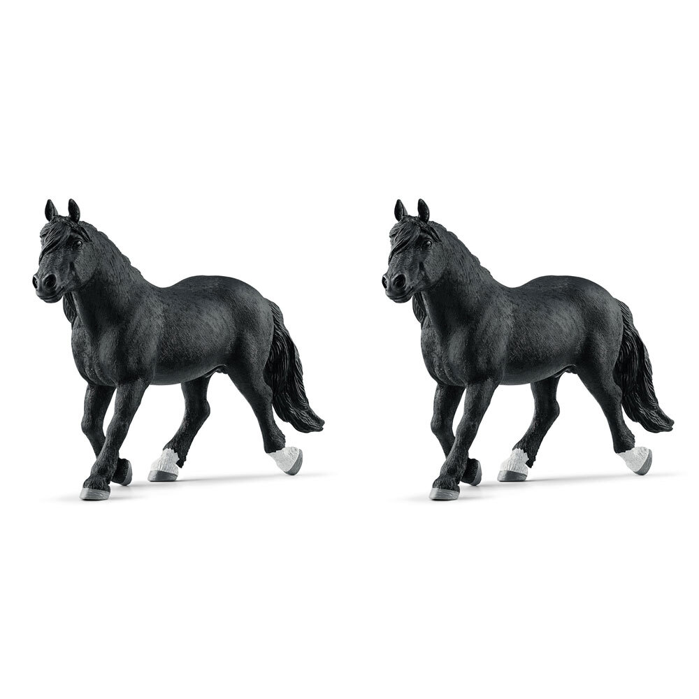 /assets/full/SC13958_2PK.jpg?20240715121845