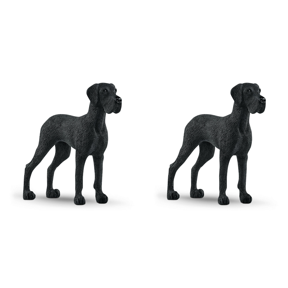 /assets/full/SC13962_2PK.jpg?20240723151914