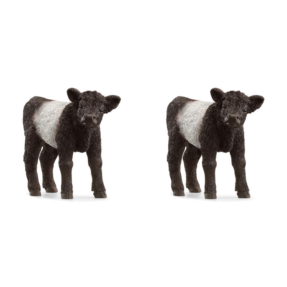 /assets/full/SC13969_2PK.jpg?20240715122446