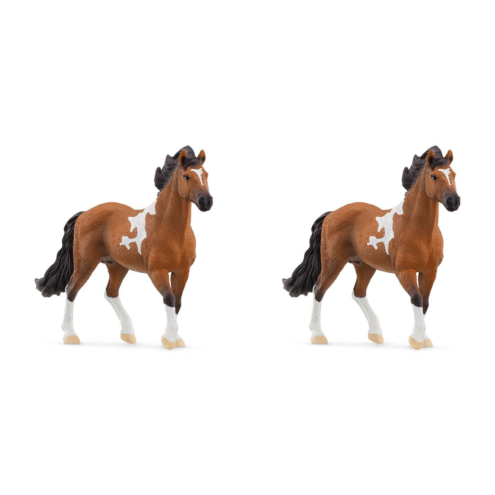 /assets/full/SC13978_2PK.jpg?20240715122446