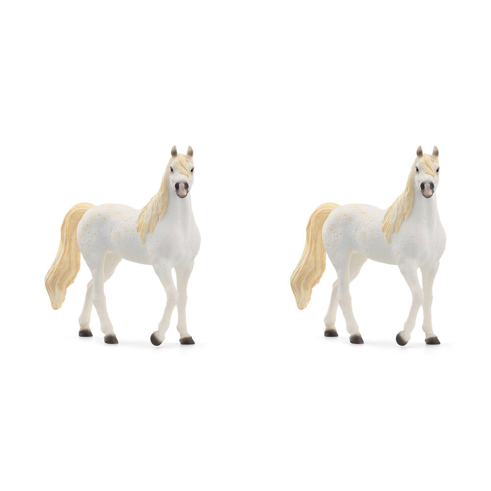 /assets/full/SC13983_2PK.jpg?20240715121847