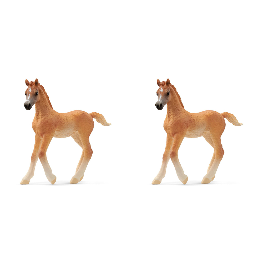 /assets/full/SC13984_2PK.jpg?20240723151947