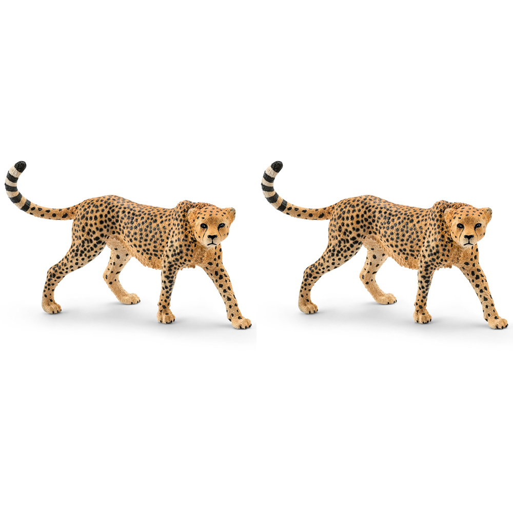 /assets/full/SC14746_2PK.jpg?20240723152043