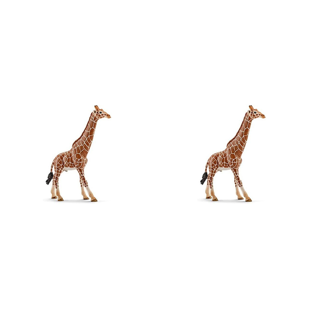 /assets/full/SC14749_2PK.jpg?20240723151918