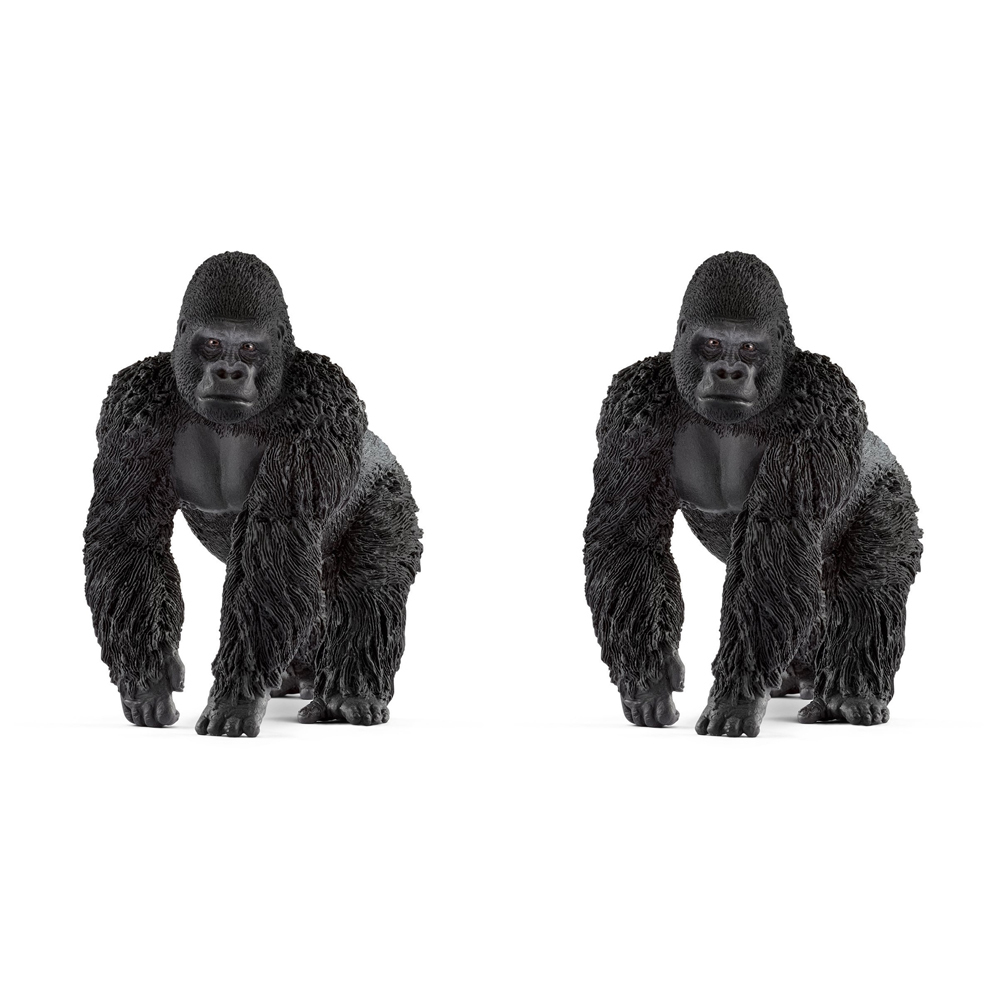 /assets/full/SC14770_2PK.jpg?20240723151843