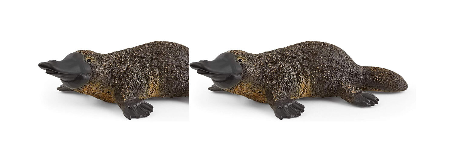 /assets/full/SC14840_2PK.jpg?20240715122453