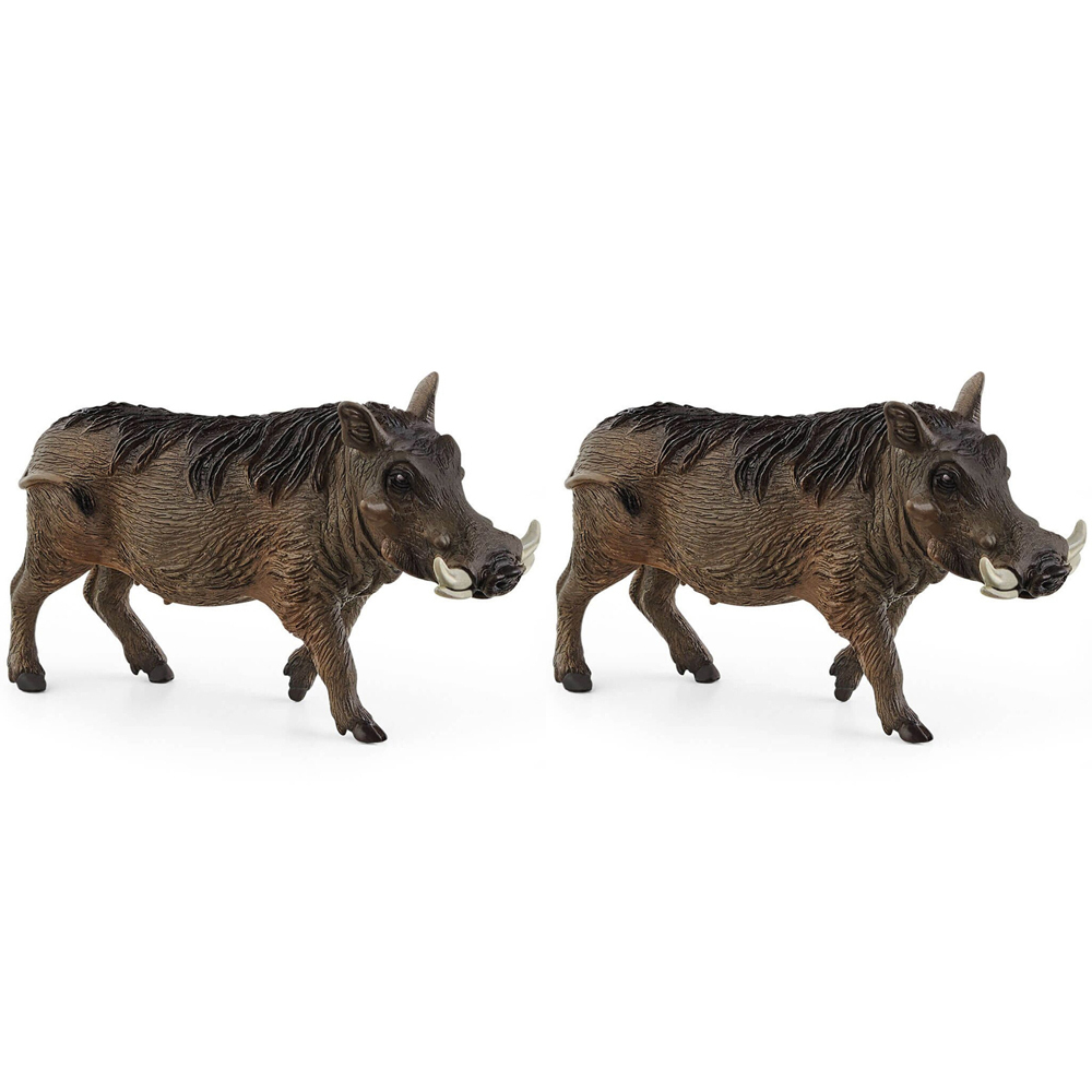 /assets/full/SC14843_2PK.jpg?20240723151804