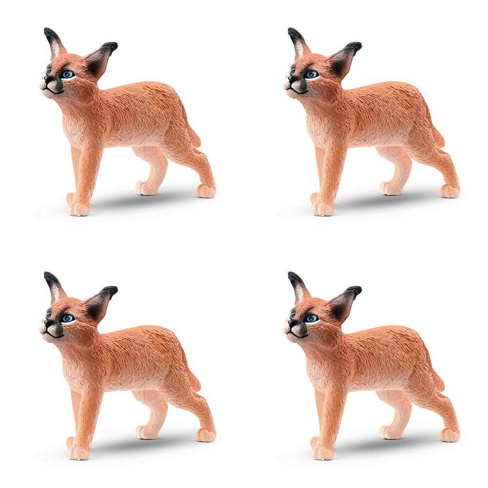 /assets/full/SC14868_4PK.jpg?20240715121942