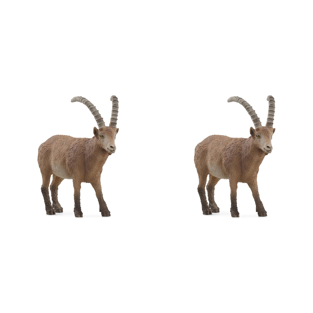 /assets/full/SC14873_2PK.jpg?20240723151536