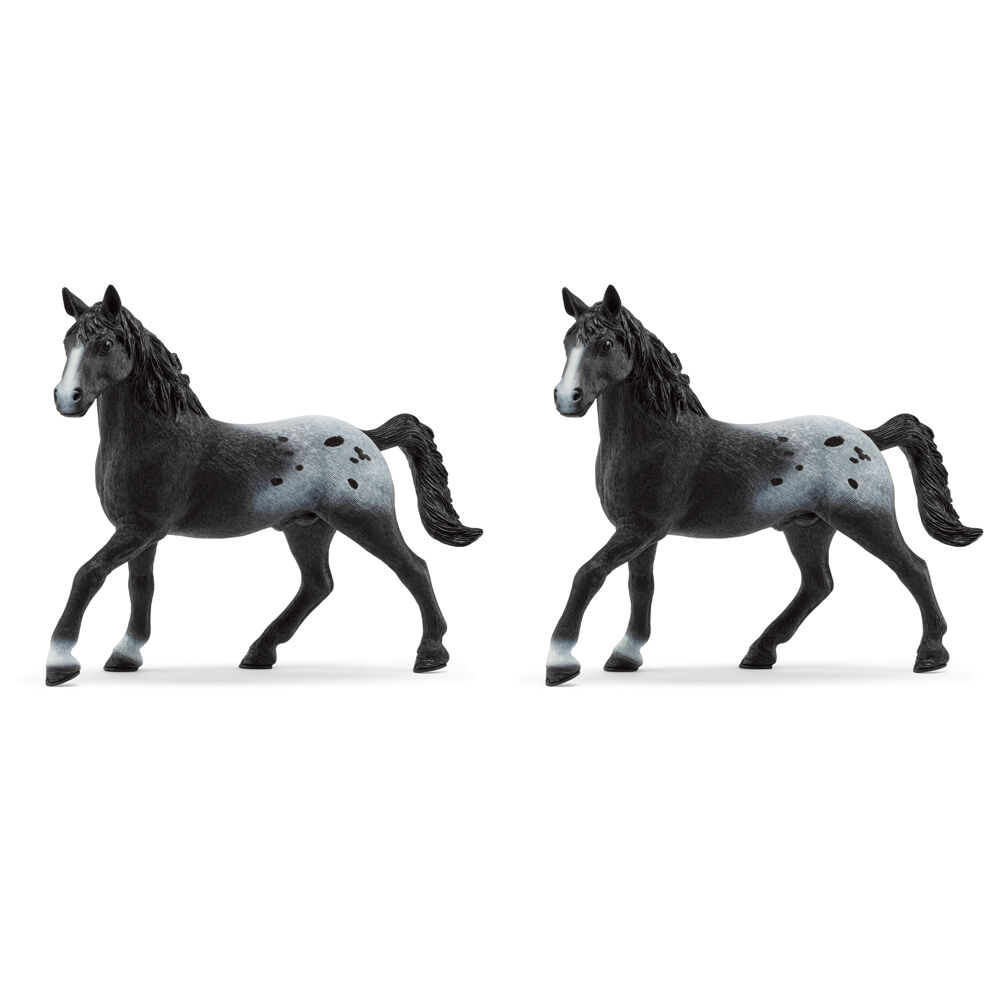 /assets/full/SC72197_2PK.jpg?20250722131555