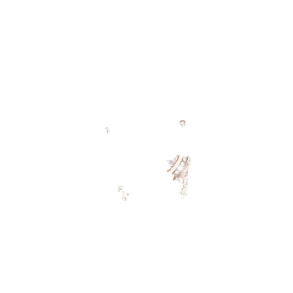 /assets/full/TK0176.jpg?20250519131614