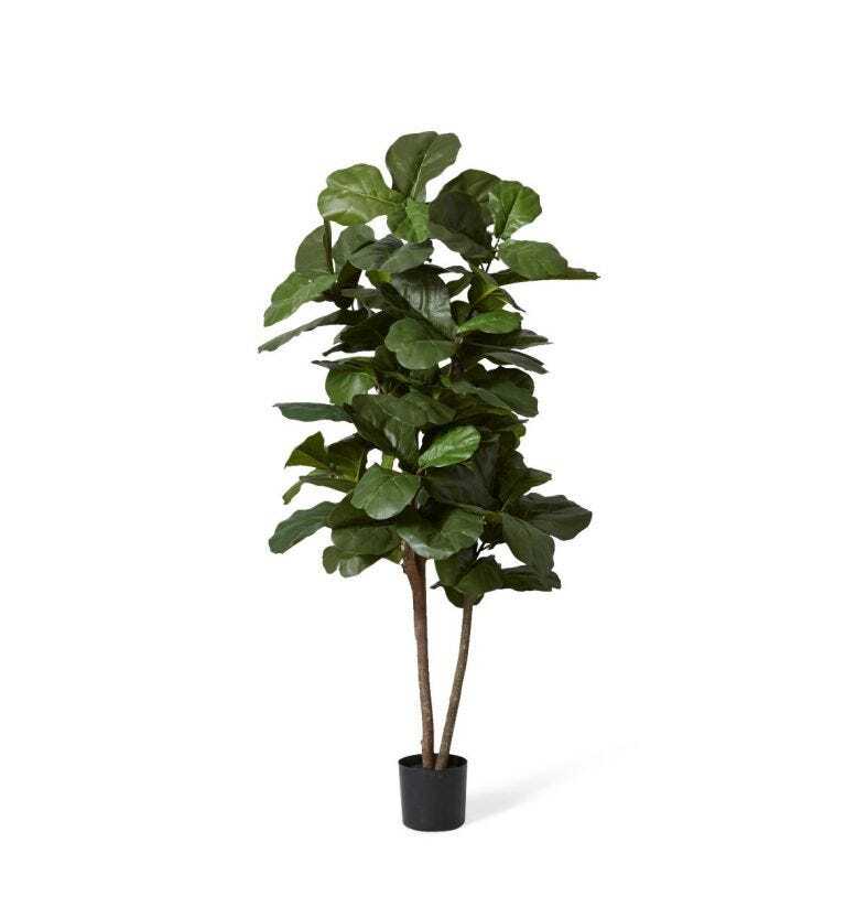 /assets/full/TP.029.GN.jpg?20231219190023