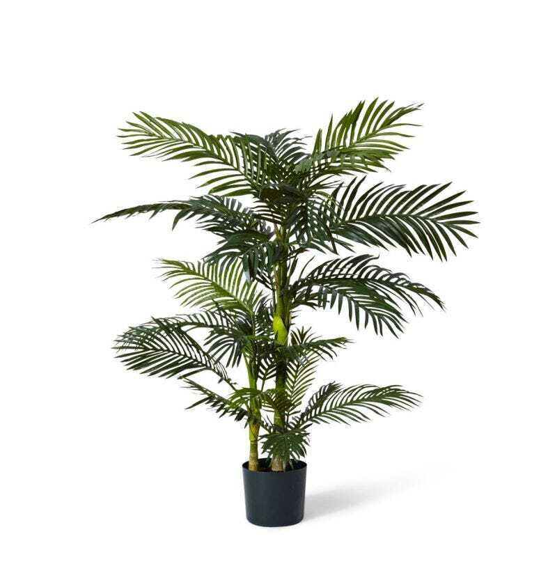 /assets/full/TP.055.GN.jpg?20231219185409