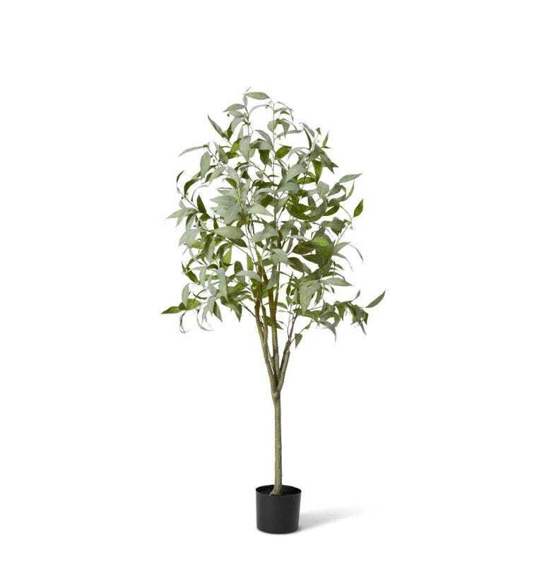 /assets/full/TP.062.GYGN.jpg?20231219185037