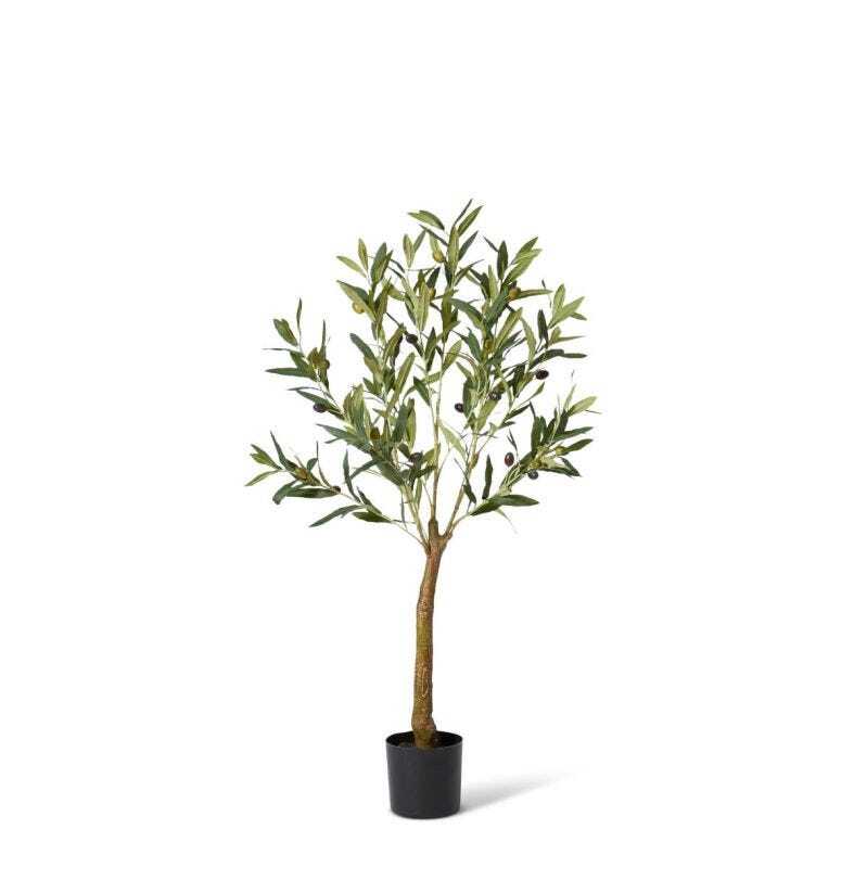 /assets/full/TP.073.GYGN.jpg?20231219184021