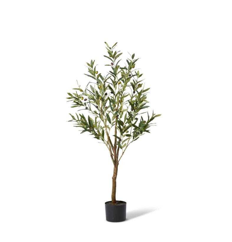 /assets/full/TP.074.GYGN.jpg?20231219184747