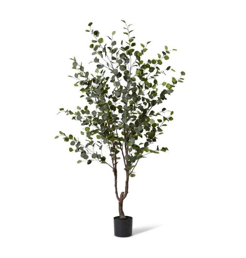 /assets/full/TP.111.GYGN.jpg?20231219185851