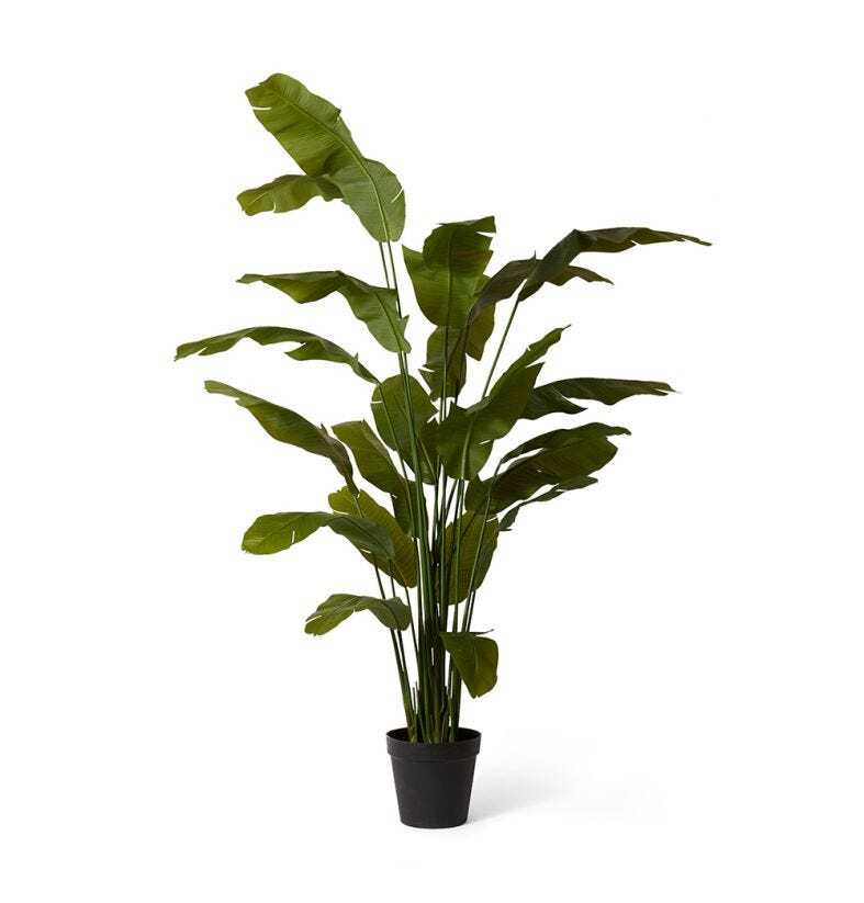 /assets/full/TP.150.GN.jpg?20231219190610