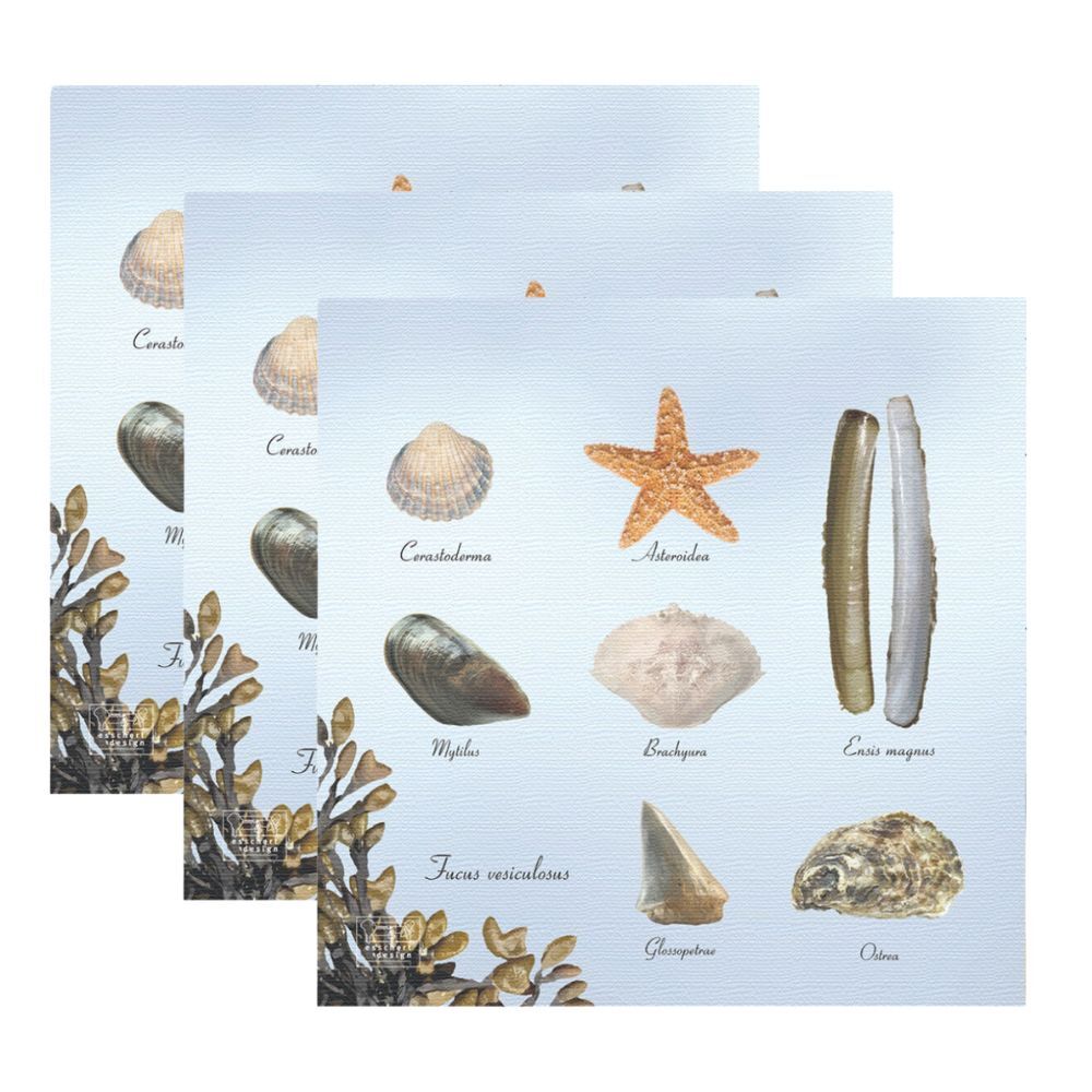 /assets/full/TP358_3PK.jpg?20250715174214