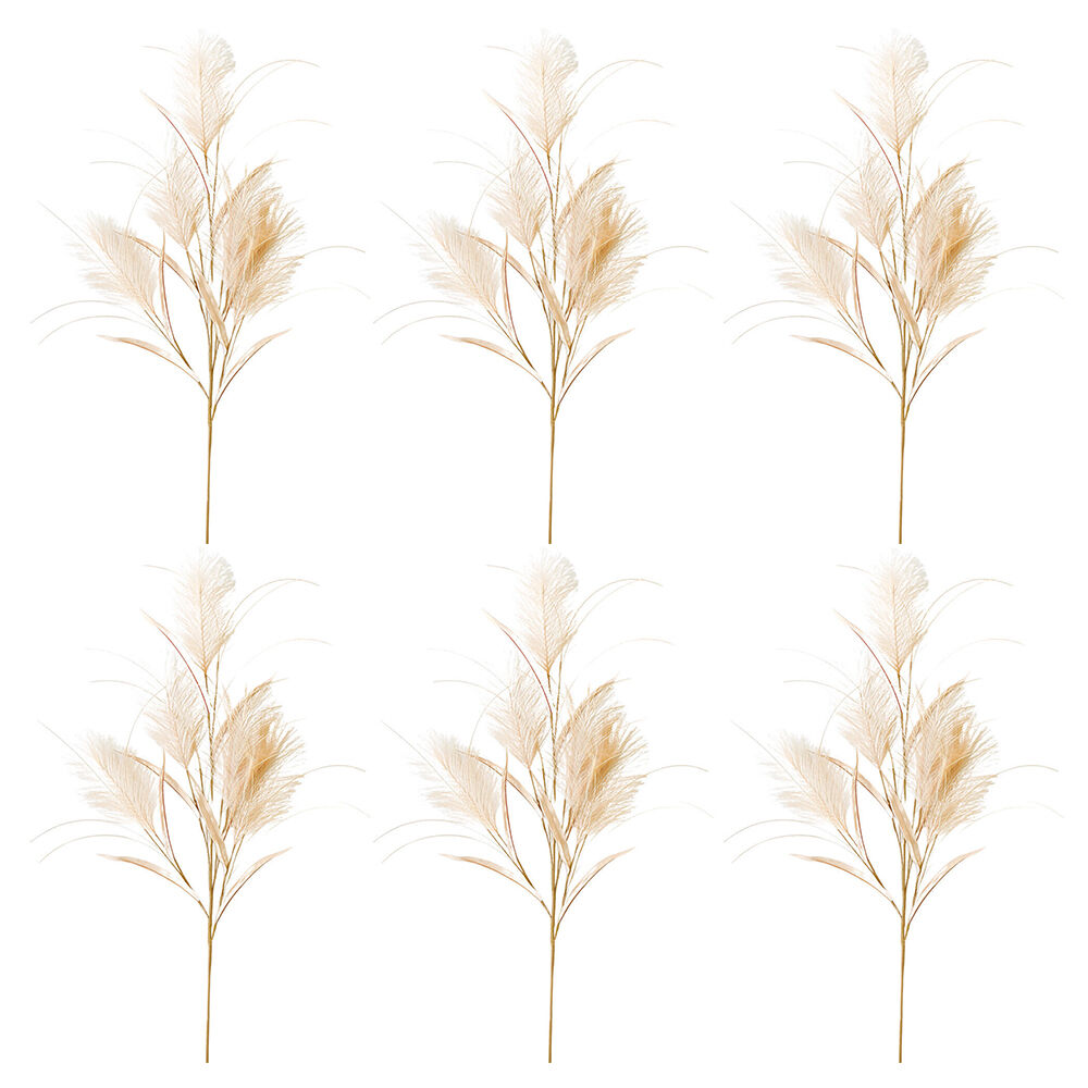 /assets/full/UC505168_6PK.jpg?20250916134543