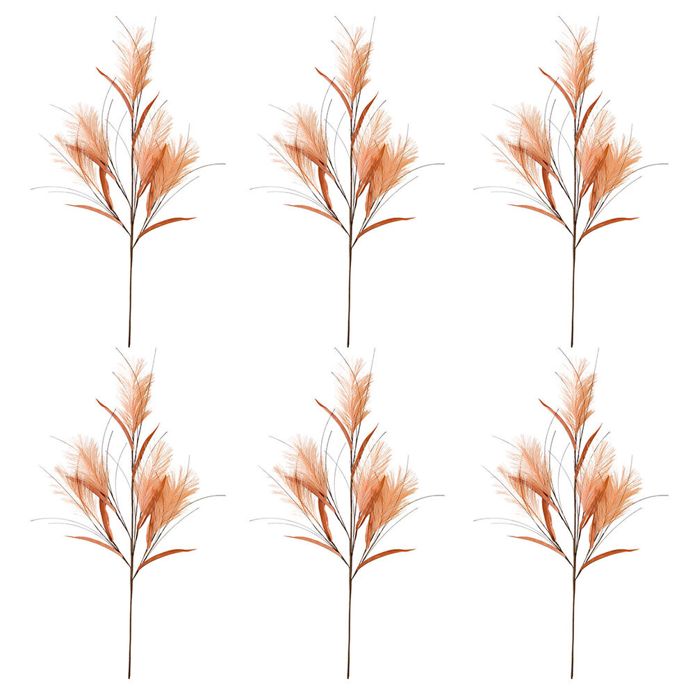 /assets/full/UC505169_6PK.jpg?20250916134634