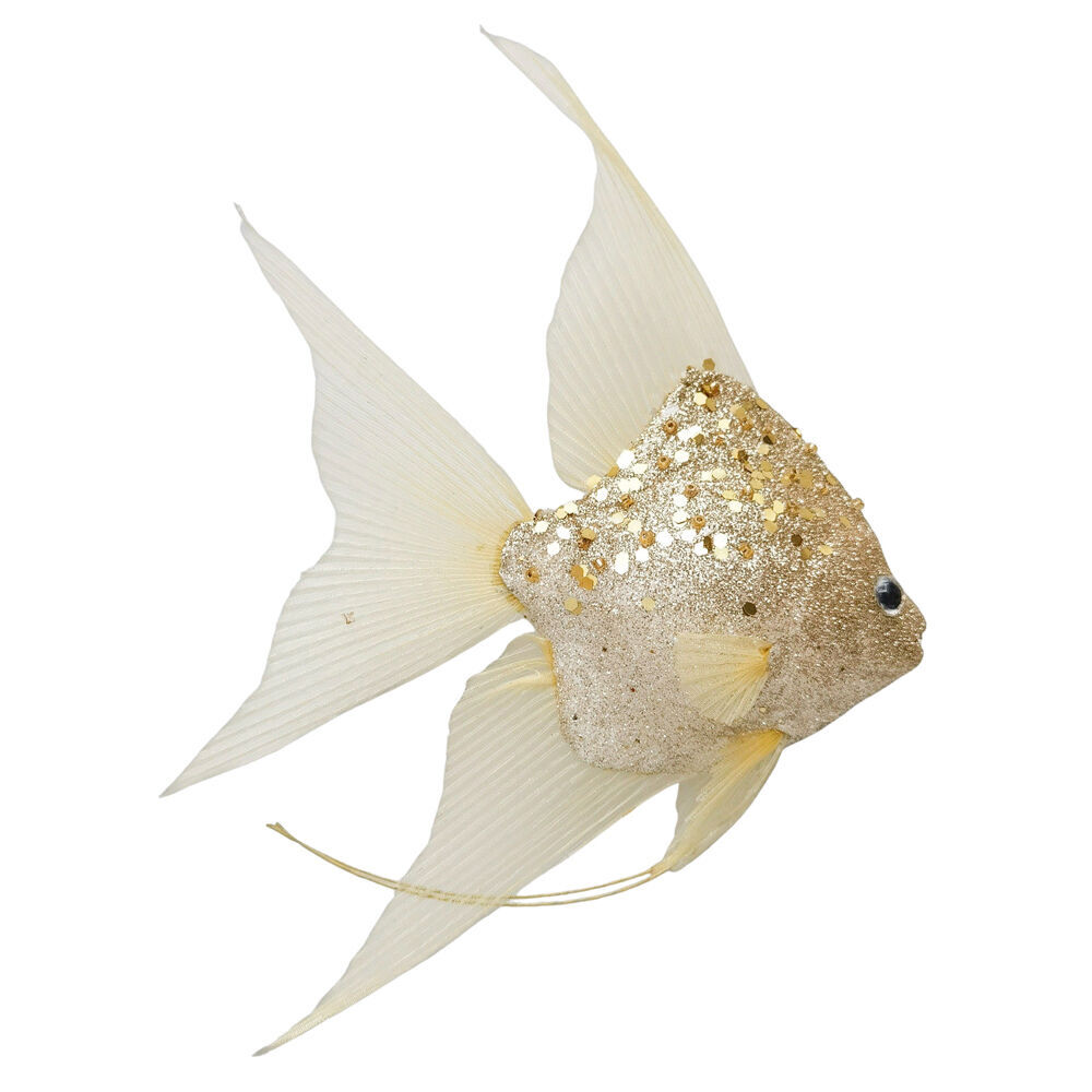 /assets/full/UC522713.jpg?20250917153508