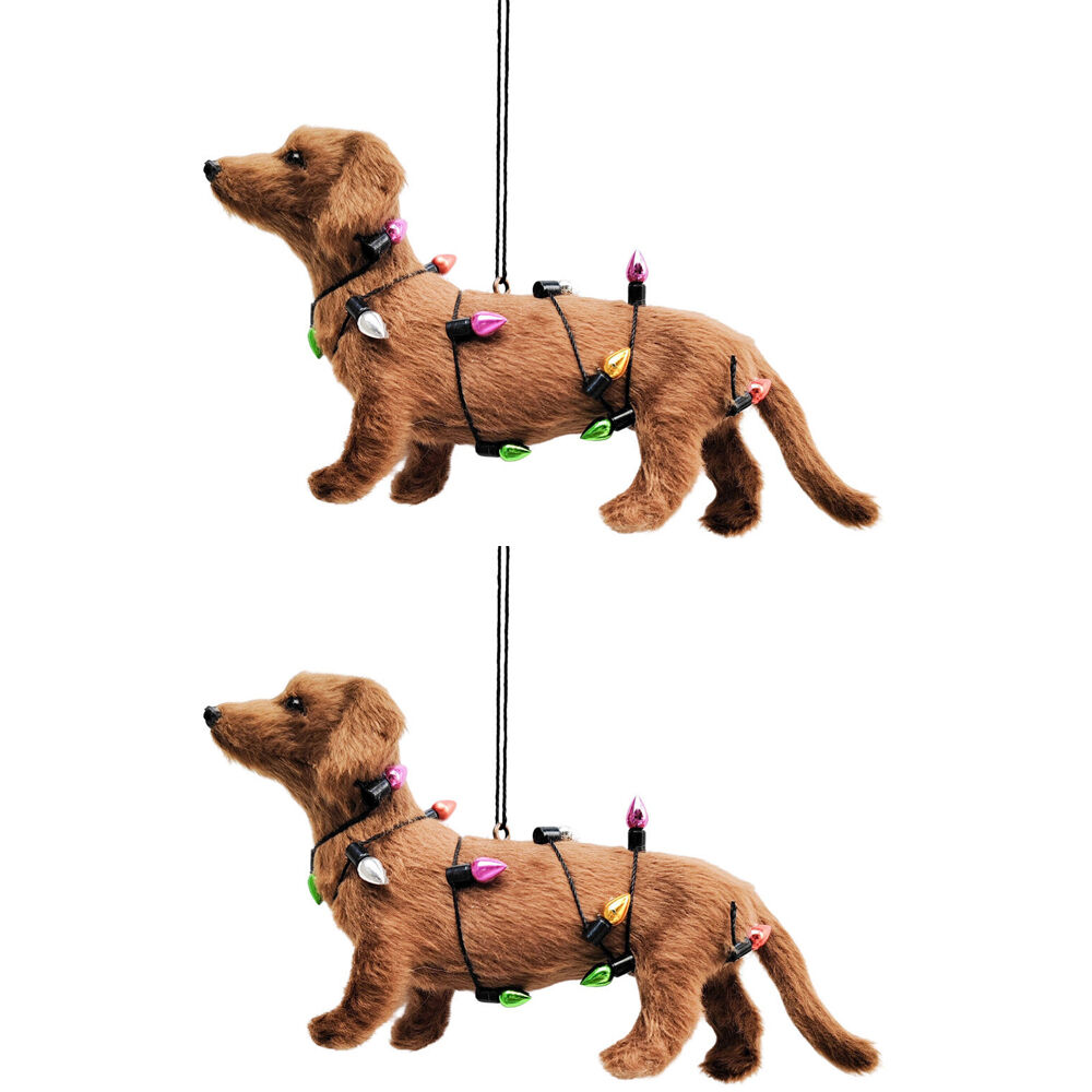 /assets/full/UC551153_2PK.jpg?20250916134612