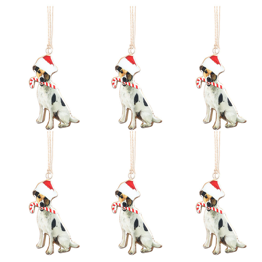 /assets/full/UC554158_6PK.jpg?20250916134714