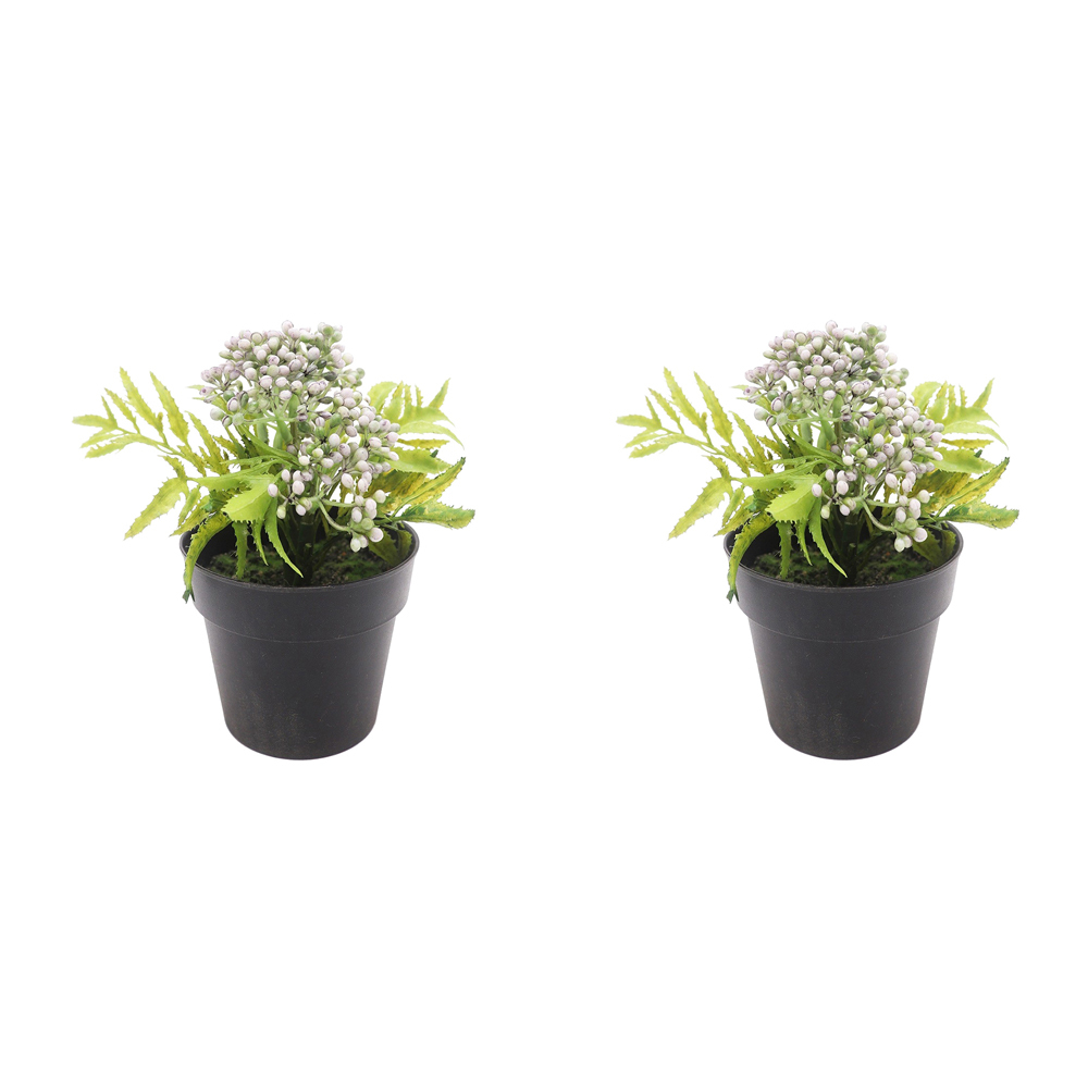 /assets/full/UP079921_2PK.jpg?20231025141644