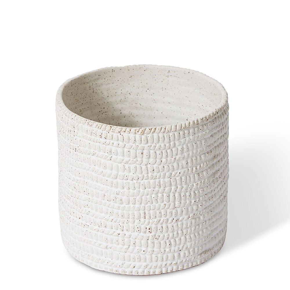 /assets/full/VCP.123.WH.jpg?20250417153156