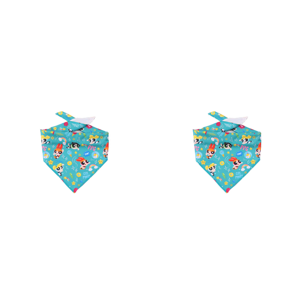 /assets/full/WBDGBANDPOWP-S_2PK.jpg?20240523141754