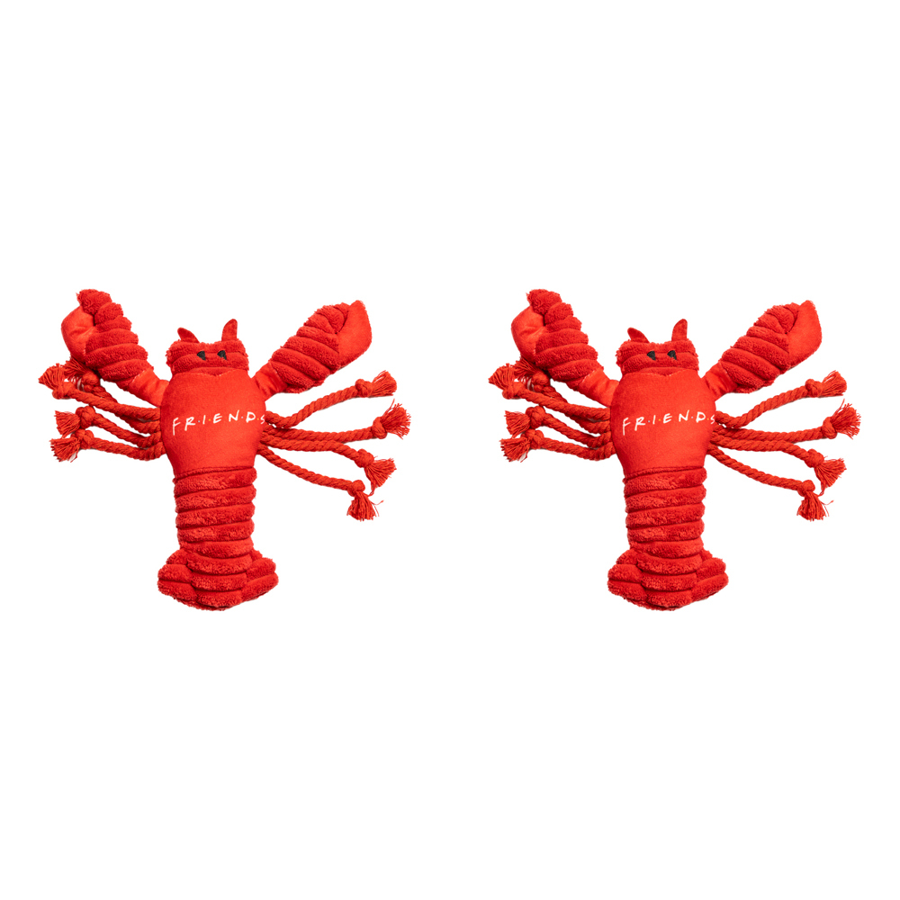 /assets/full/WBDGTOYFRIE-LOBS_2PK.jpg?20241002123031