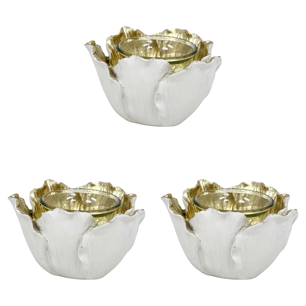 /assets/full/WD4303-2_3PK.jpg?20231211142541