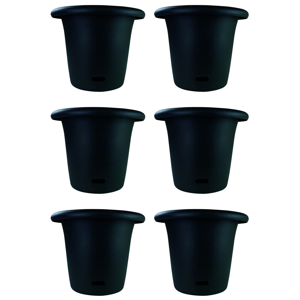 /assets/full/WSC3403_6PK.jpg?20240816113003