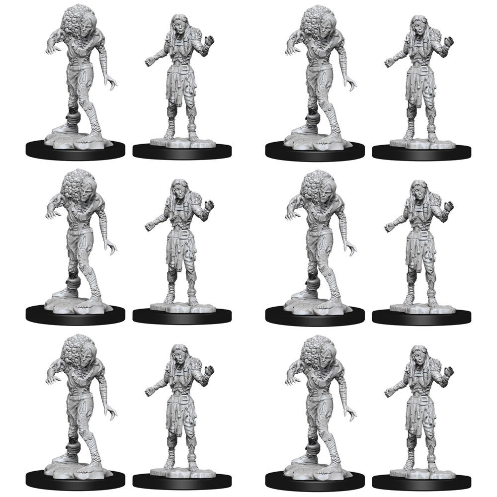 /assets/full/WZK90242_6PK.jpg?20250408115033