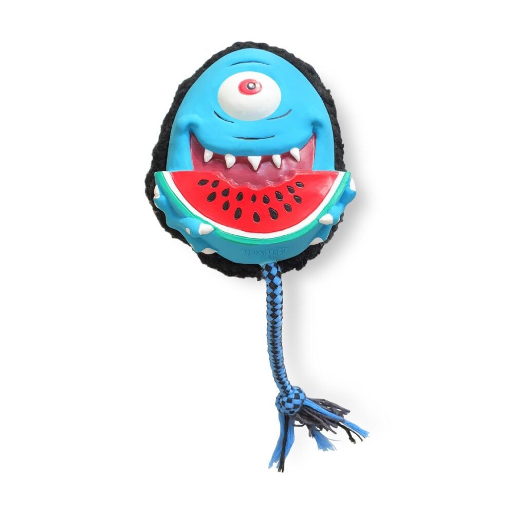 /assets/full/XMMSSBKI.jpg?20251219104628