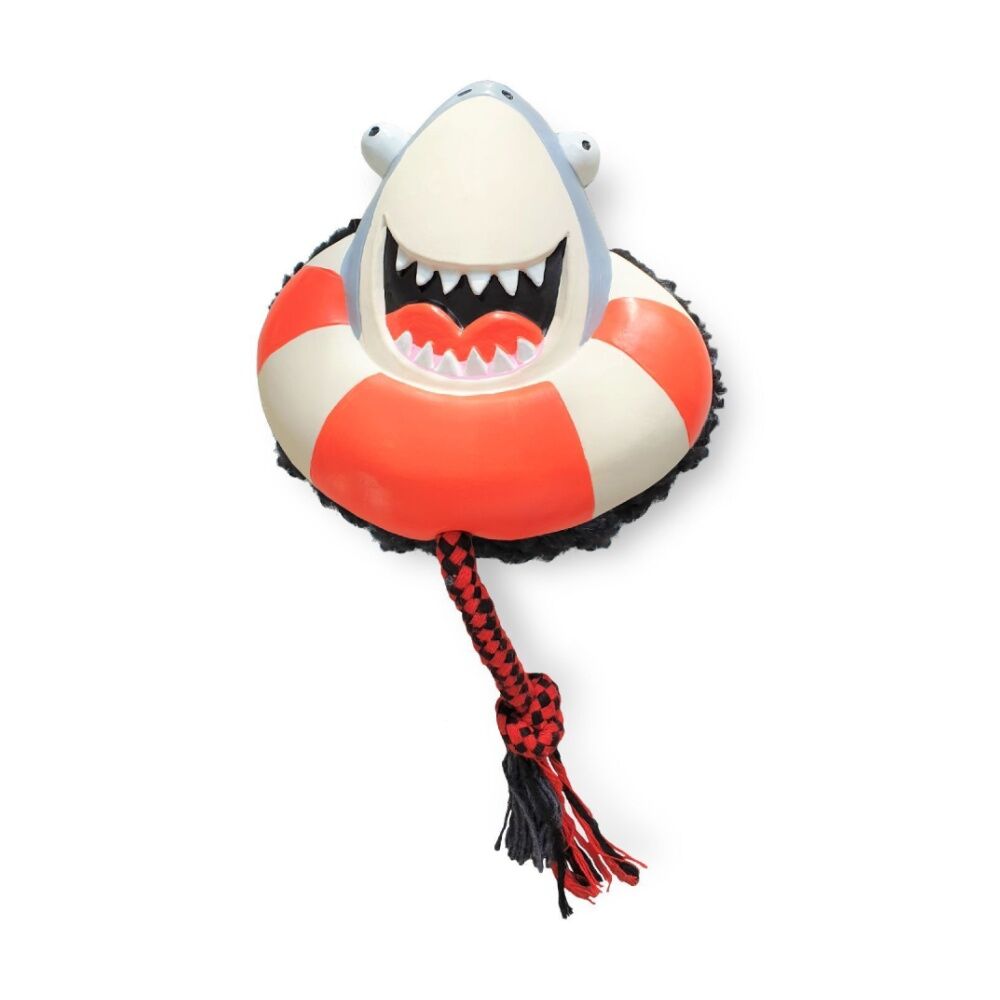 /assets/full/XMMSSFSH.jpg?20251219104925