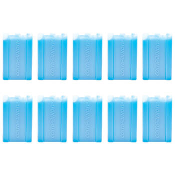 10PK Companion 750ml Ice Travel Cooler Brick Large 21x13cm - Blue
