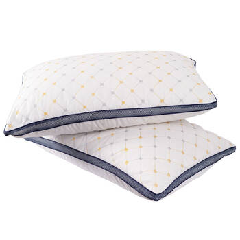 2pc Royal Comfort Luxury Chiro Comfort Air Mesh Pillow 50x75cm - White/Blue