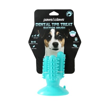 Paws & Claws 13cm Cactus Suction Dental Treat Toy - Teal